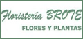 Logo de  Floristería Brote - Flores y plantas